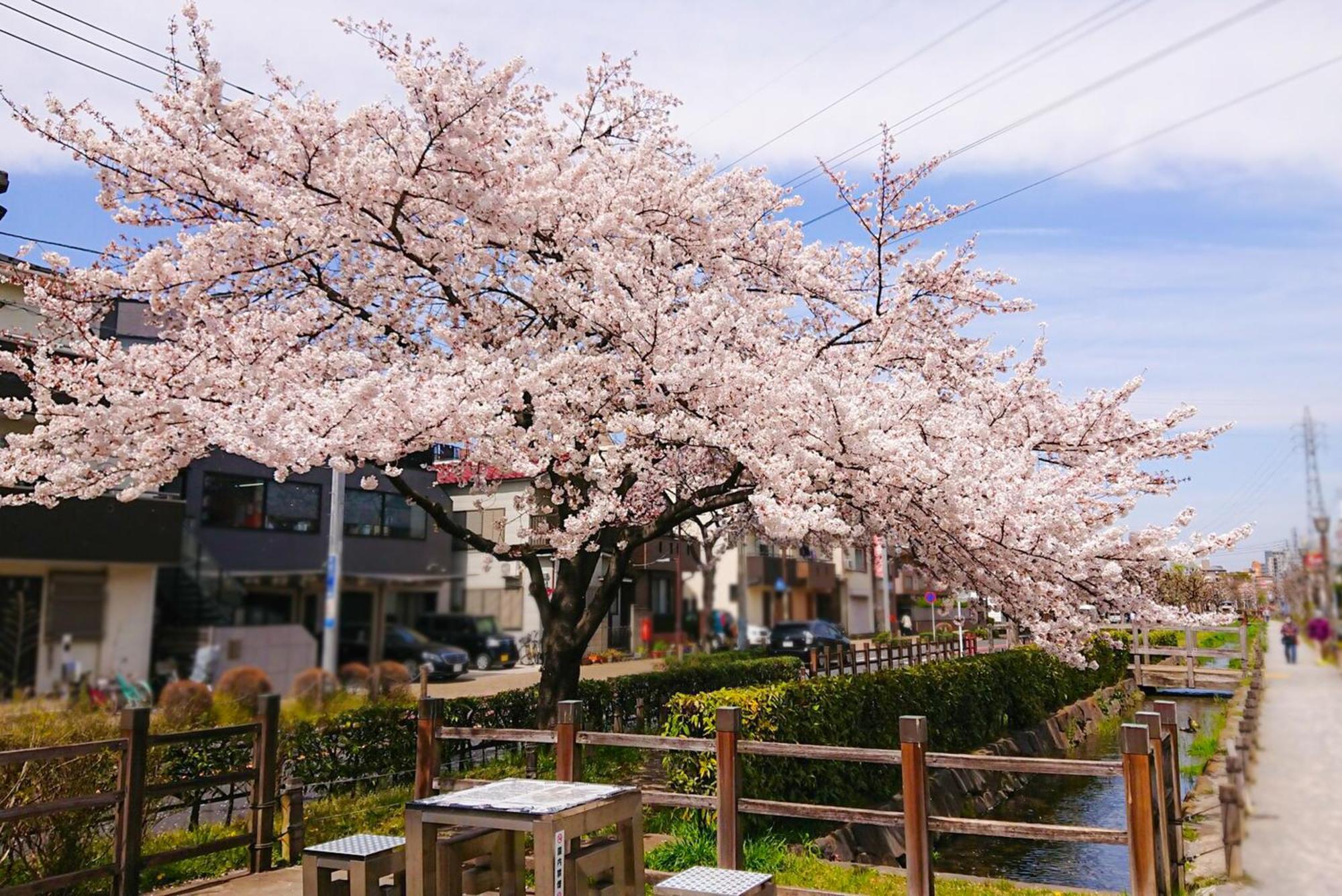Sc Heights 203 Tokio